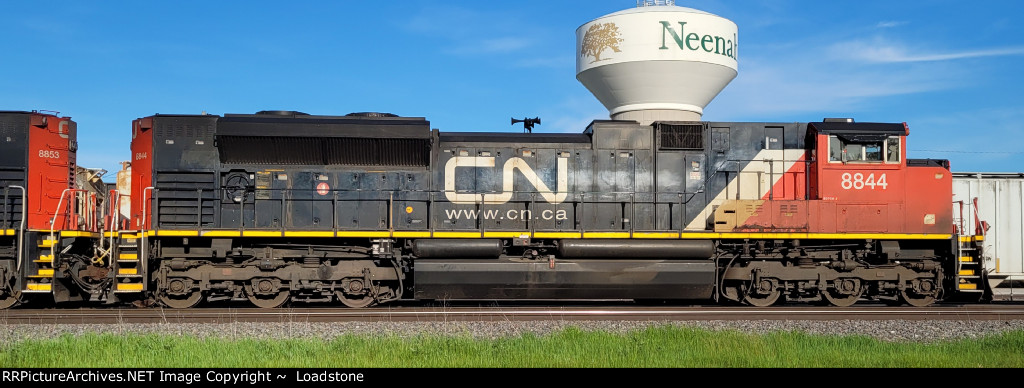 CN 8844